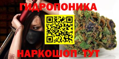 a pvp Кимры