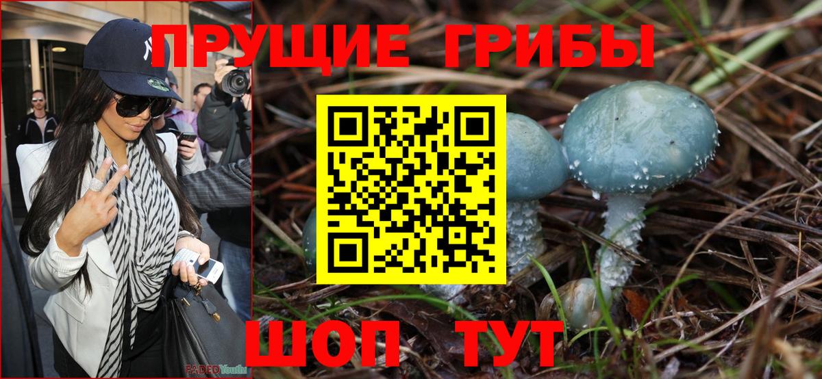 Псилоцибиновые грибы ЛСД Коркино